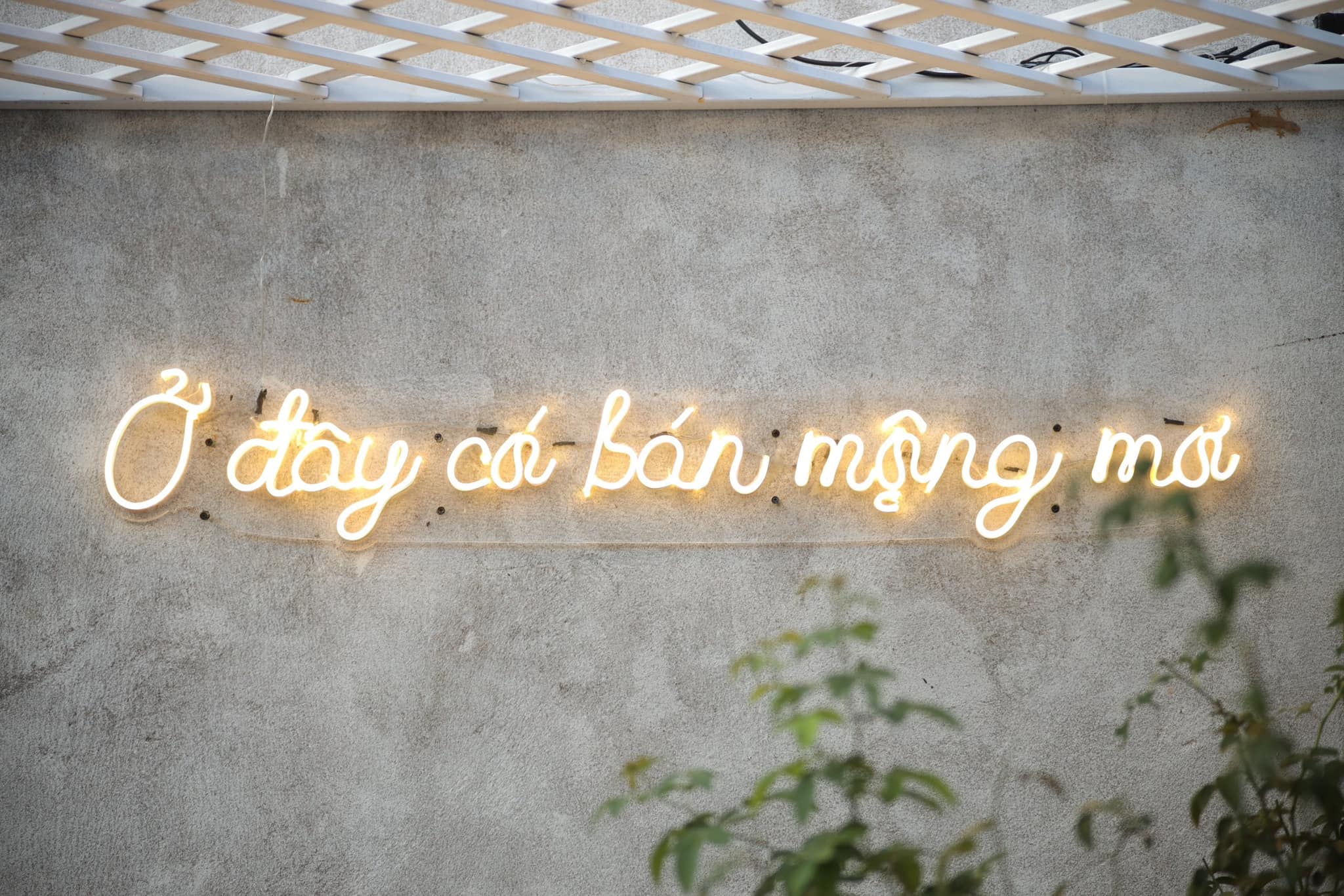 Huỳnh Nhân Quốc cùng Hồ Thị Hoài Quyên ở Hoa House
